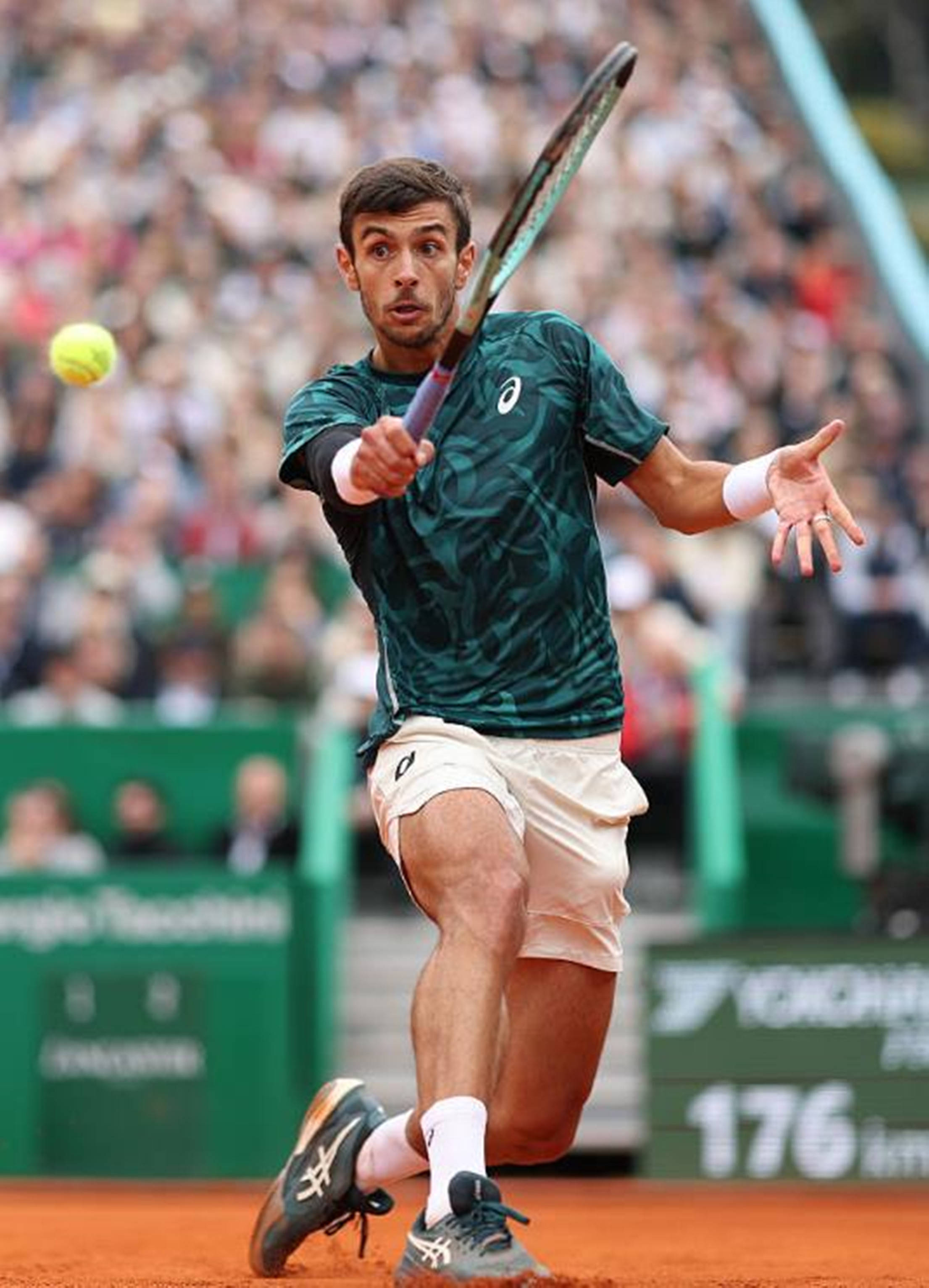 这是一种以 这是一种以